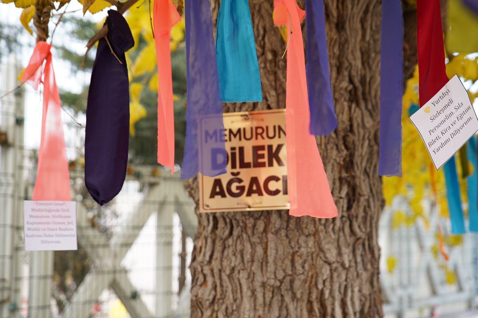 DMK’DEN DİLEK AĞACI EYLEMİ: HAKLAR İÇİN BİRLİK ÇAĞRISI